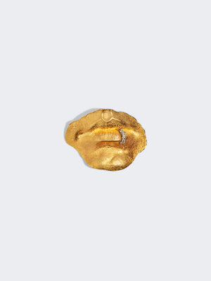 PIERCED MOUTH BROOCH