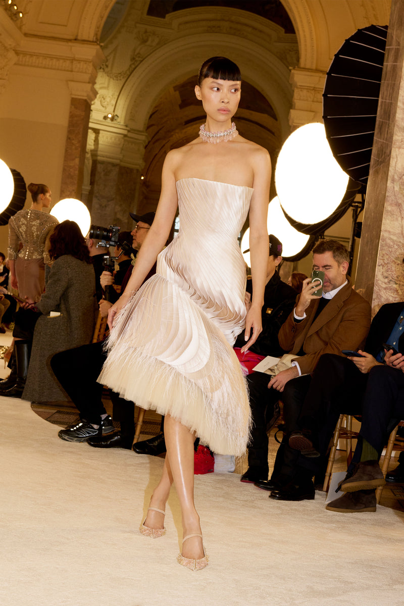 schiaparelli dress runway Schiaparelli Couture Fall 2024 Runway Show Photos