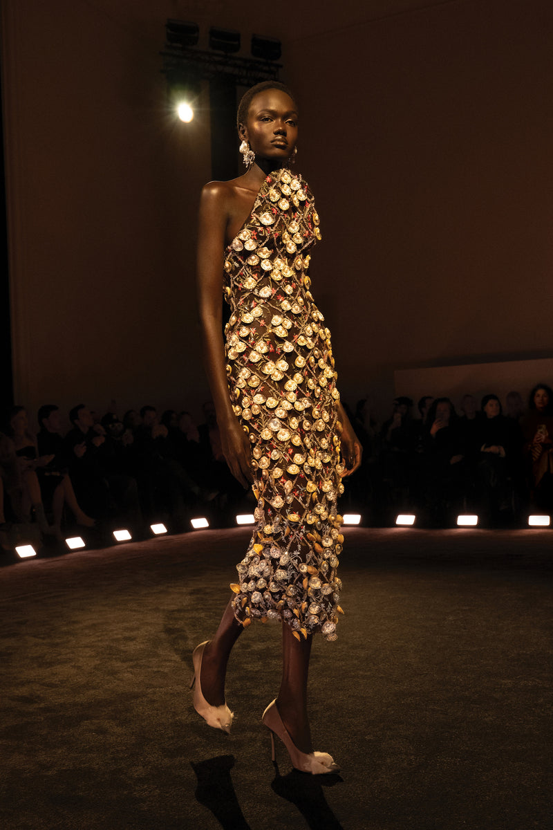Haute Couture Spring-Summer 2026