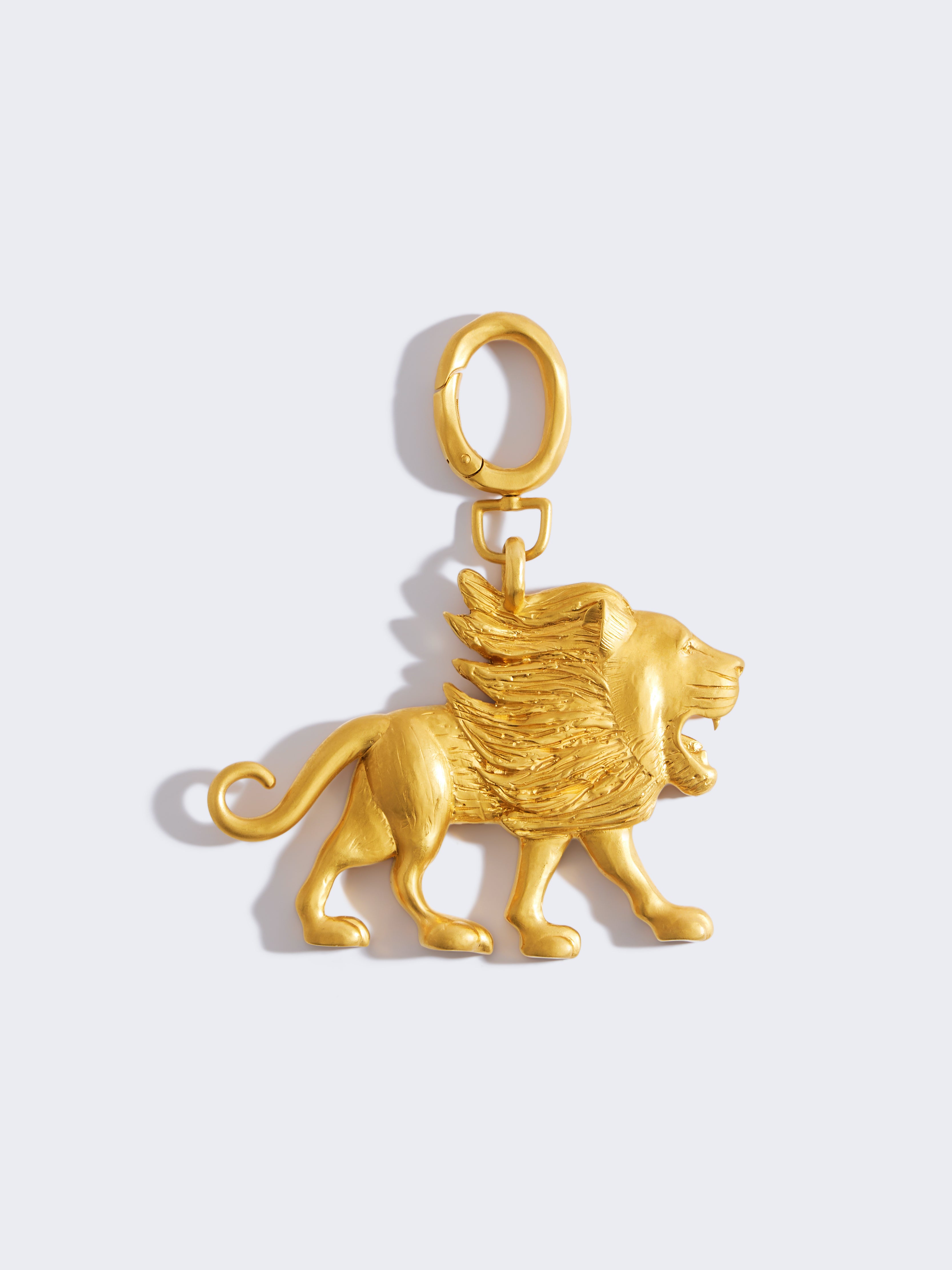 LEO CHARM