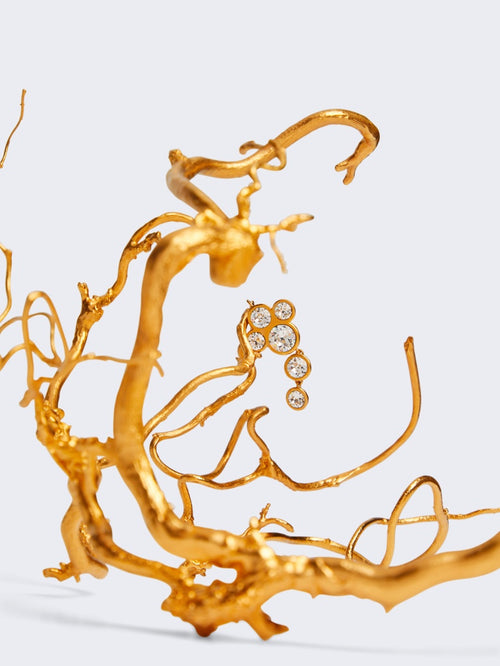 zoom2_S1WOM2S6HE0001LA01_001