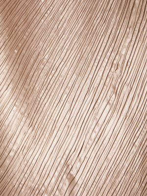 zoom_S1WGW2F6SK0032LL8001_403