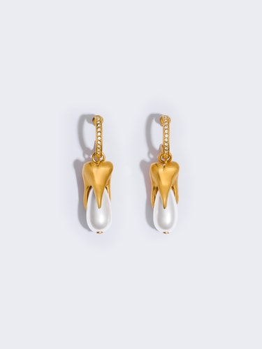 Small tooth earrings